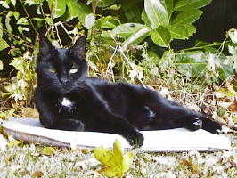 Photo of Sophie of www.asksophie.co.uk